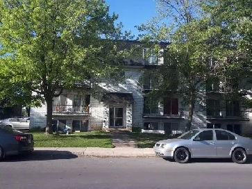 4 1/2 à Louer Longueuil Chauffage, eau chaud, électricité inclus Image# 4