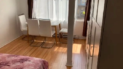 Studio de 1-1/2, sur le Plateau Image# 1