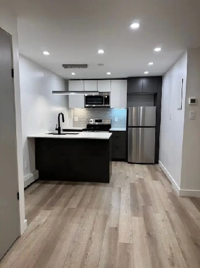Newly Renovated 1 Bedroom Apartment in Hamilton Image# 1