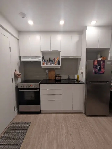 Mile-end - 1 bedroom 1 bathroom apartment ( 3 1/2) Image# 5