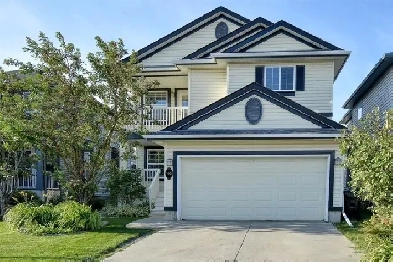 Legal, walkout, renovated basement in NW for rent Image# 5