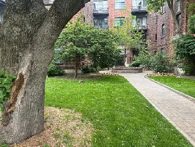 4.5 - 1500 all inclusive (internet, cable TV, heat, AC) in NDG Image# 6