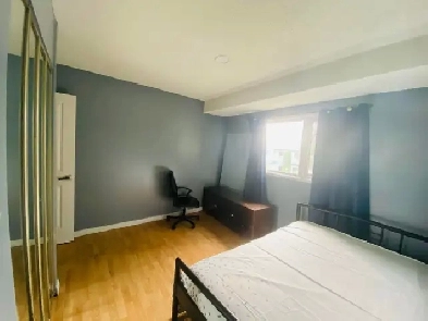 Private Room For Rent Near West Edmonton Mall Image# 3