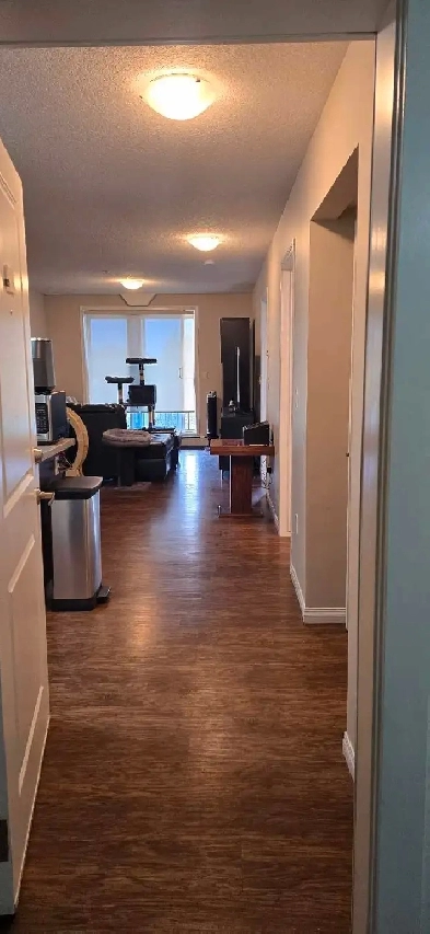 Roommate wanted - Private bathroom & in suite laundry Image# 8