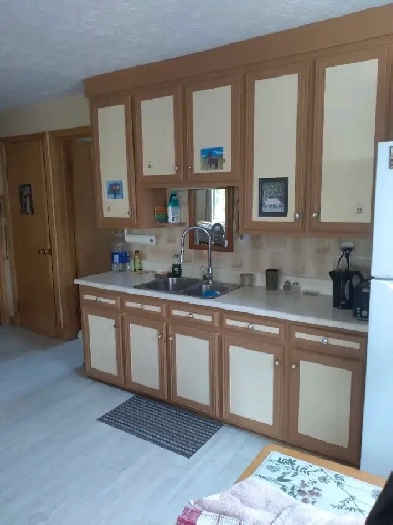 logement à louer Image# 1