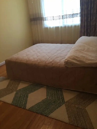1 Bedroom to rent Image# 3