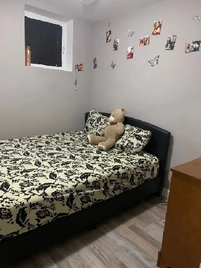 private room/ basement/ female only 625/month Brampton Image# 1
