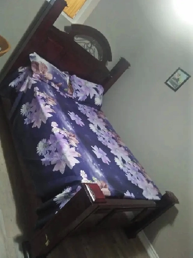 furnished room Brampton 400/month females only basement Image# 1