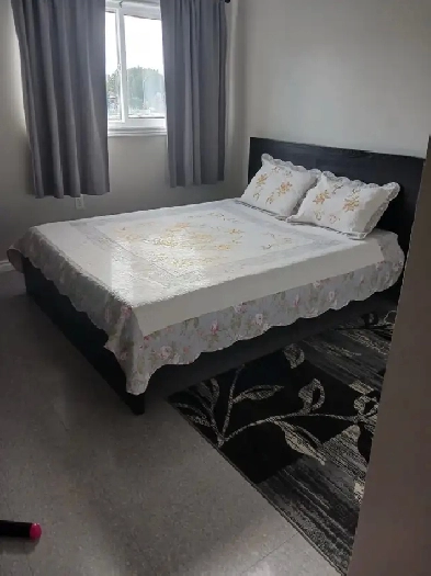 looking to share accommodations with a mature female Image# 1