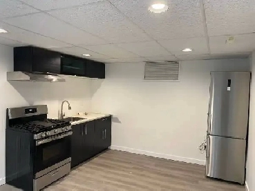 $1,750 / 1br - 725ft2 - Studio/1 Bathroom Basement (FRASERVIEW) Image# 2