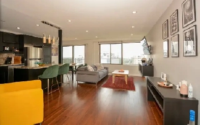 APARTMENT FOR RENT/SALE  FULLY FURNISHED  INDOOR PARKING Image# 13
