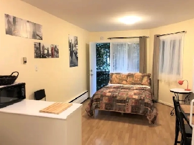 STUDIO 1 1/2 LIBRE PLATEAU Image# 7