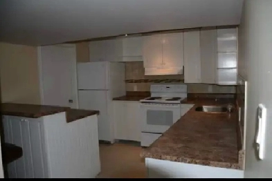 2 bedroom basement apartment Aug 1st Image# 4