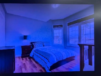 Room for rent Image# 1