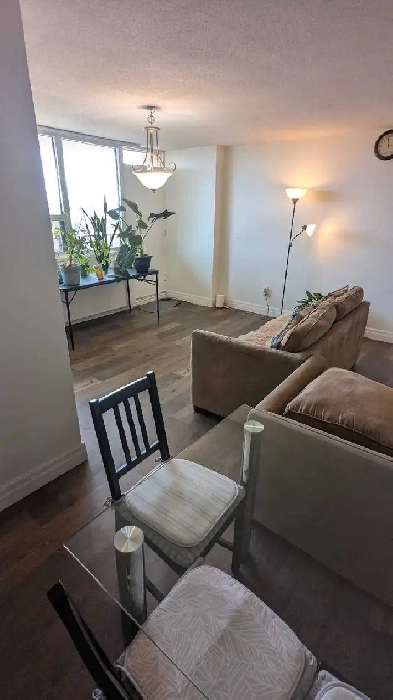 Bright Spacious Rooms. Vegetarian. Gujarati. Scarborough Image# 2