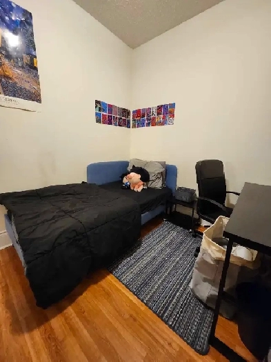 FULLY FURNISHED ROOM FOR RENT FOR GIRL Image# 1