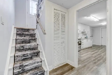 Executive 2 bedrooms   Den Legal Basement apartment Image# 1