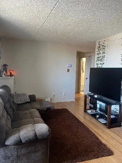 1 Bedroom 1 Bath apartment for rent Image# 4