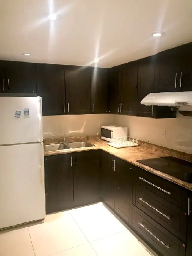 Bright, Renovated Basement Room with Parking for Rent Image# 6
