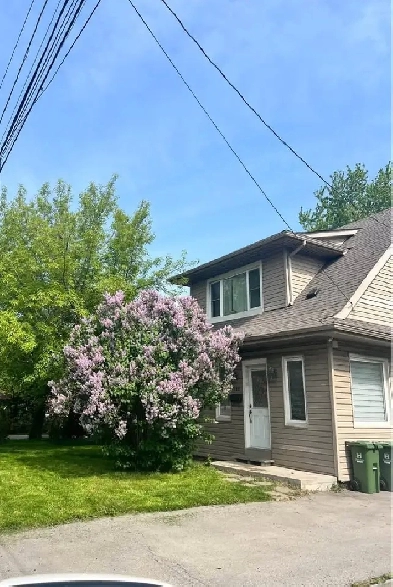 Private Room for Rent - Females only - Students or Professionals Image# 1