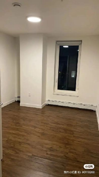 Finding Roommate for one year lease Image# 5