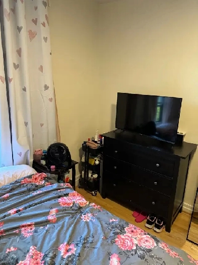1 room in 2 bedroom top floor triplex Image# 5