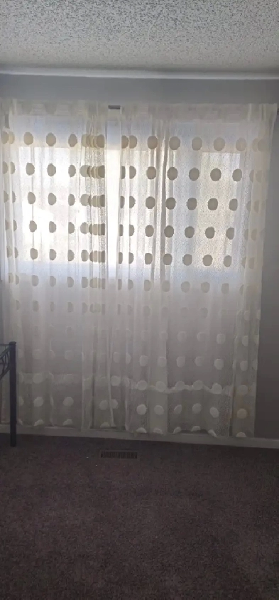 2 bed room house for rent Image# 4