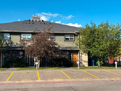 Beautiful 2 Bedrooms, 1 bath for rent Image# 5