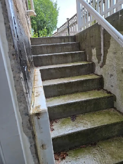 Walkup basement with 2 bedrooms in Brampton  - July 1st Image# 1