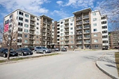 Luxury Apartment for Rent next to UofM! 2 bed, 2 bath, and more! Image# 6