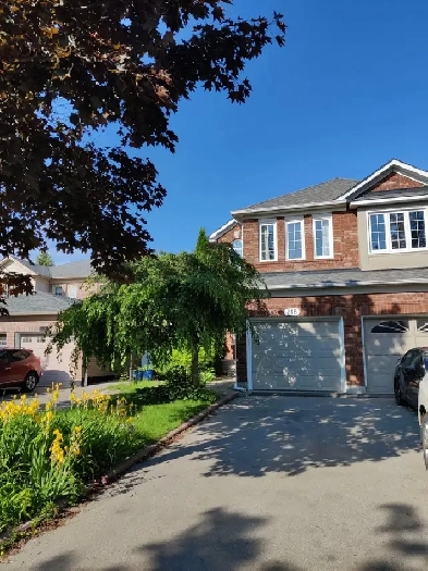 Aurora 3 bedroom Whole House for Rent Image# 12