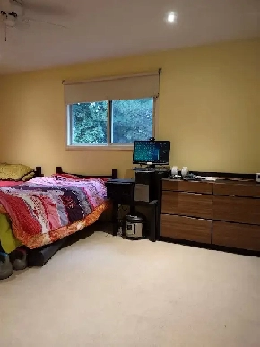 Five mins to U of W by bus,  Furnished ,Quiet, Safe Image# 1