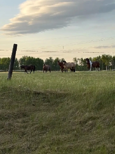 iso land with water and power for rent Image# 1