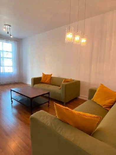 Furnished _ Unit in Duplex _ Monthly rental Image# 1