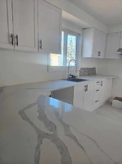 Beautiful and fully renovated 3 Bdr  in Longueuil Image# 1