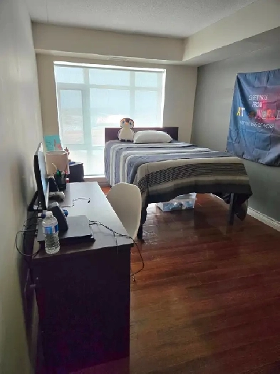 LEASE TAKEOVER (Male only unit) Immediately or Fall 2025 $995 Image# 1