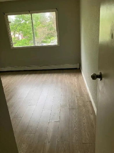 Room For Rent Image# 2