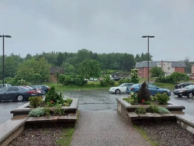 One bdr apt  den, August, A corner unit, A clean  quiet building Image# 1