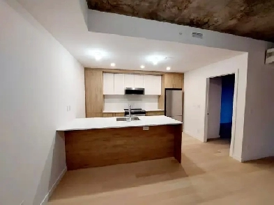 Grand condo neuf 4 1/2 à louer en face du Metro Langelier Image# 4