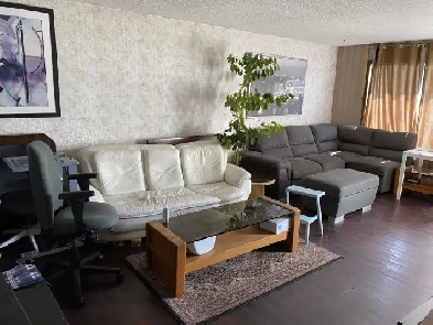 5 min walk to Rundle Ctrain / SunRidge Mall / 15 min Downtown Image# 7