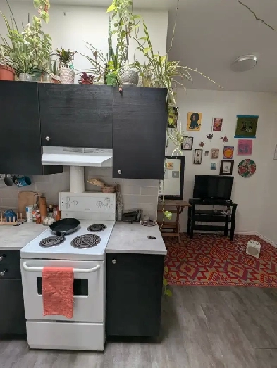 1 Bd Apt Available for Sublet - Short & Long Term Image# 2