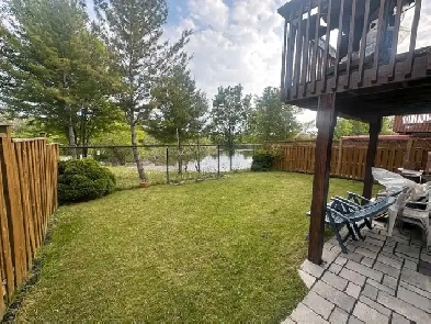 1  Bedroom Walkout Basement for Rent! Image# 4