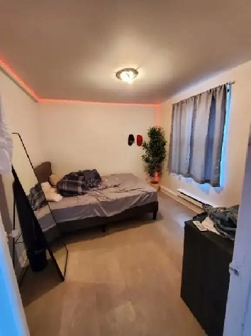 Emplacement Pie-IX et Adam 41/2, renovee propre. Image# 4
