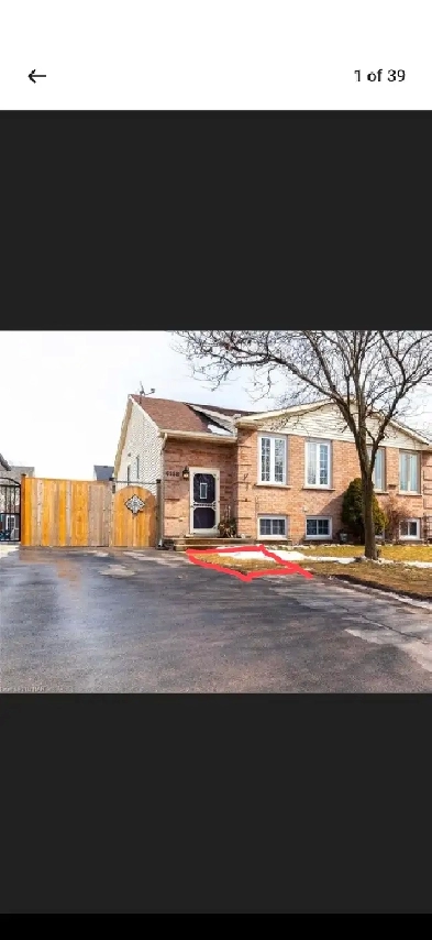 3 bed 1 bath house Image# 10