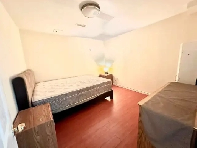 All inclusive - 1 Bedroom Private basement apt in detached home Image# 1