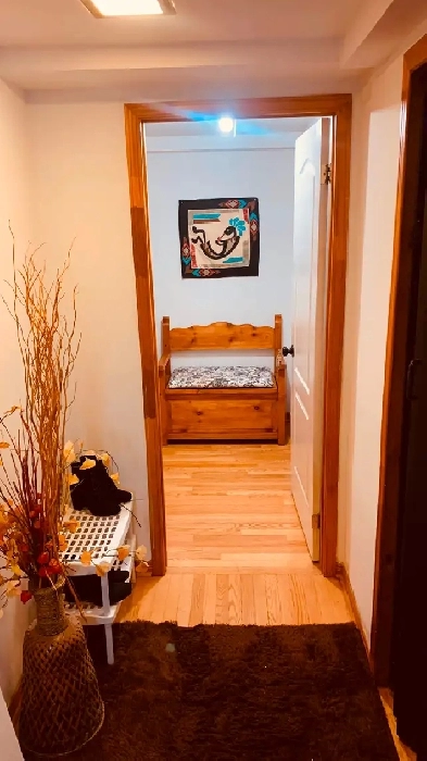 Hampstead furnished  semi-basement Image# 8
