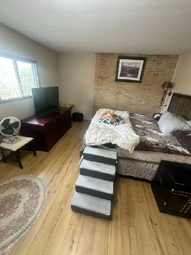 Fully furnished room for rent near downtown halifax Image# 1