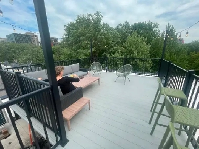 1 & 1/2   terrasse sur le toit sur square st-louis, plateau Image# 2
