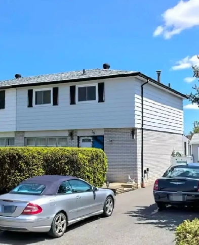 Room for Rent in Brampton near Bramalea City Center Image# 1