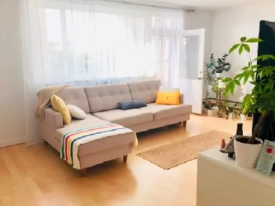 2 Bed 1 Bath in Osborne Village Image# 5